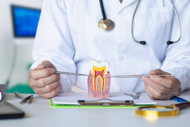 Best Same-Day Emergency Dental Services in Russells Point, OH